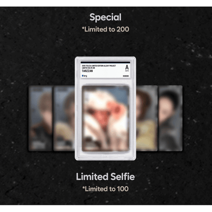 2025 Teleca ALLDAY PROJECT Trading Card Hobby Box 8800260770376 at King Card Canada